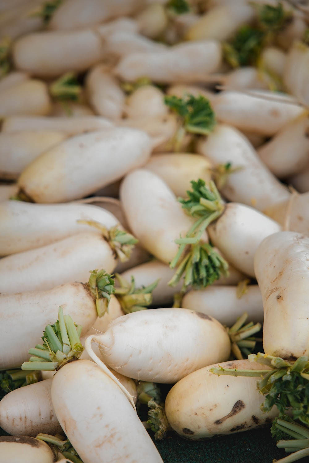 아삭하고 시원한 이것, 무(Radish)의 효능