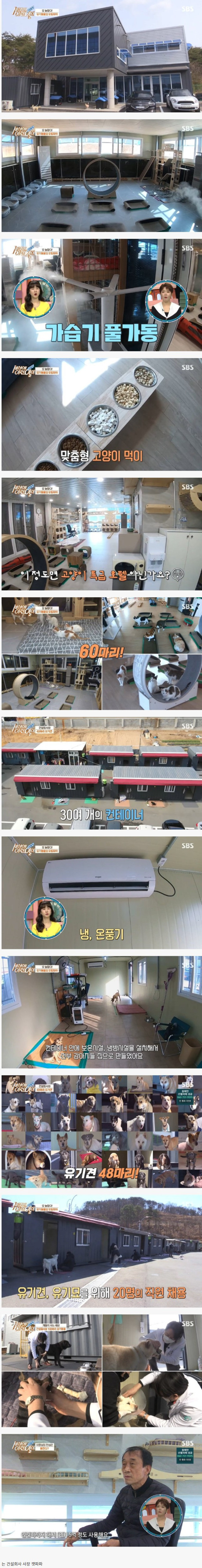 캣맘계 최강자