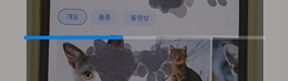 인스타 리그램 사용 방법 (앱 Repost - Instagram) 8 ywAAAAAAQABAAACAUwAOw==