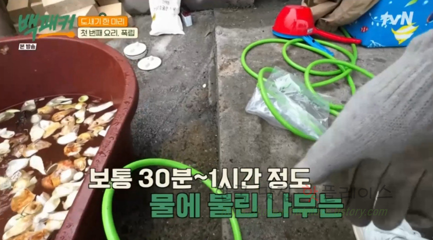 백패커 폭립 & 폭립 소스 레시피 - 백종원 폭립 도새기 한 마리 첫 번째 요리 12 ywAAAAAAQABAAACAUwAOw==