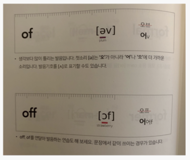 영어낭독 매직낭독 매직트리하우스 7권 영어회화 하루 두 문장 4 ywAAAAAAQABAAACAUwAOw==