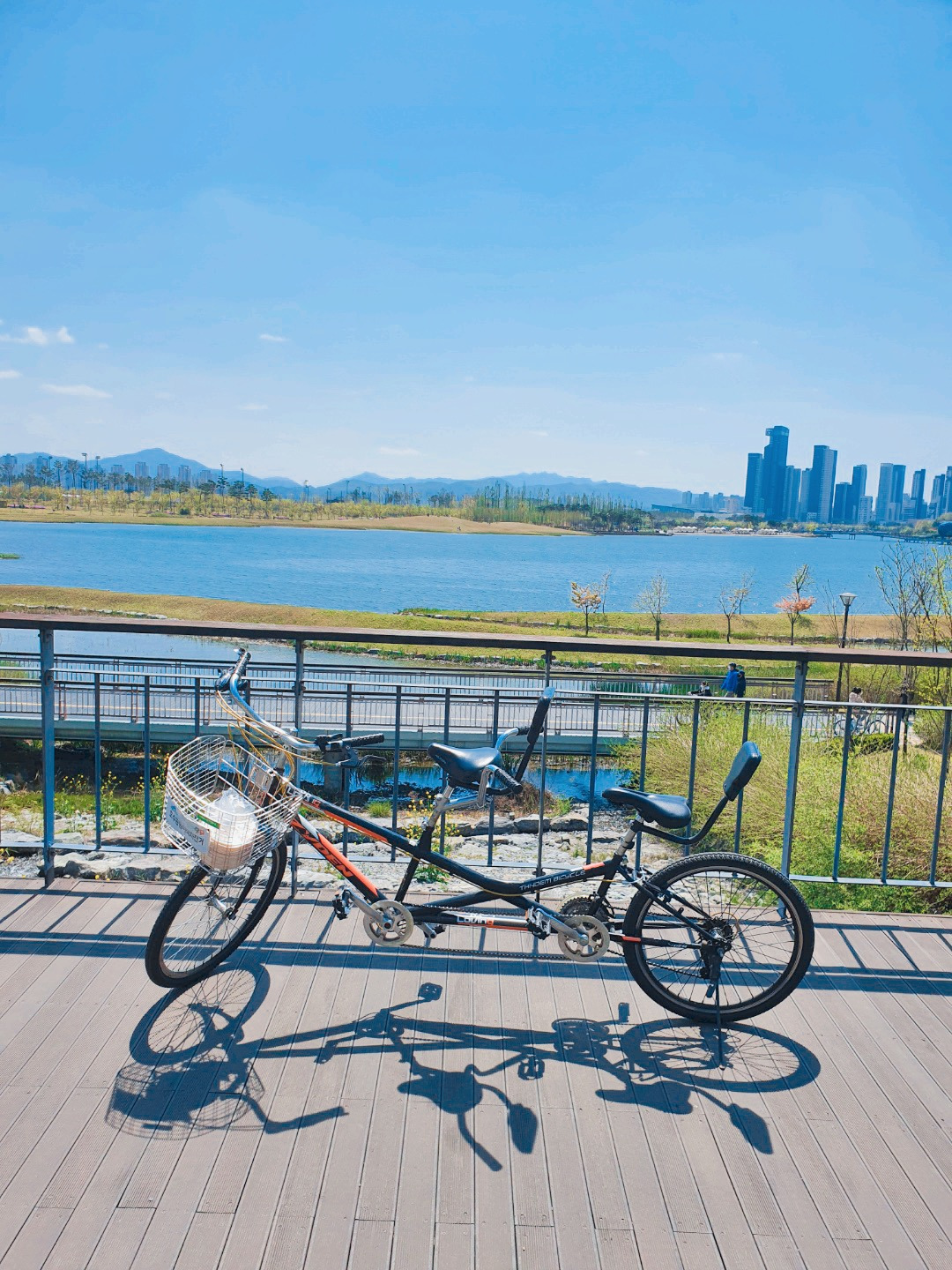 세종 호수공원 자전거 대여