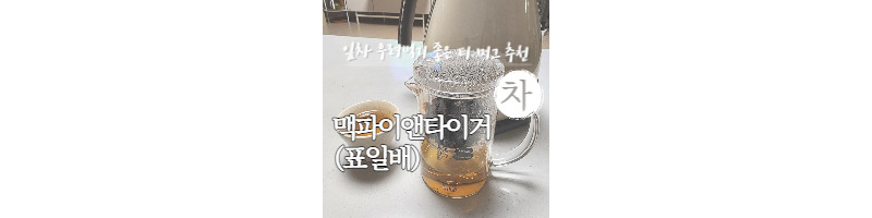 잎차 우려먹기 좋은 티 머그 추천(맥파이앤타이거 표일배 후기) 1 ywAAAAAAQABAAACAUwAOw==