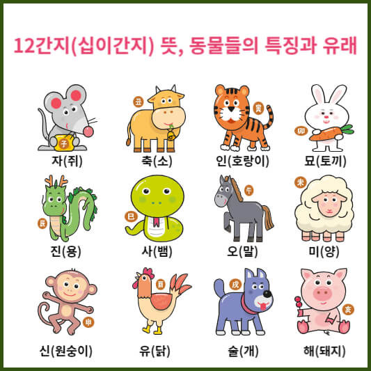 12간지(십이간지) 뜻, 순서, 동물들의 특징과 유래