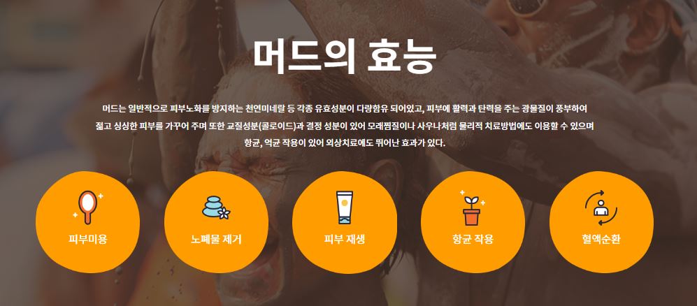 보령머드축제