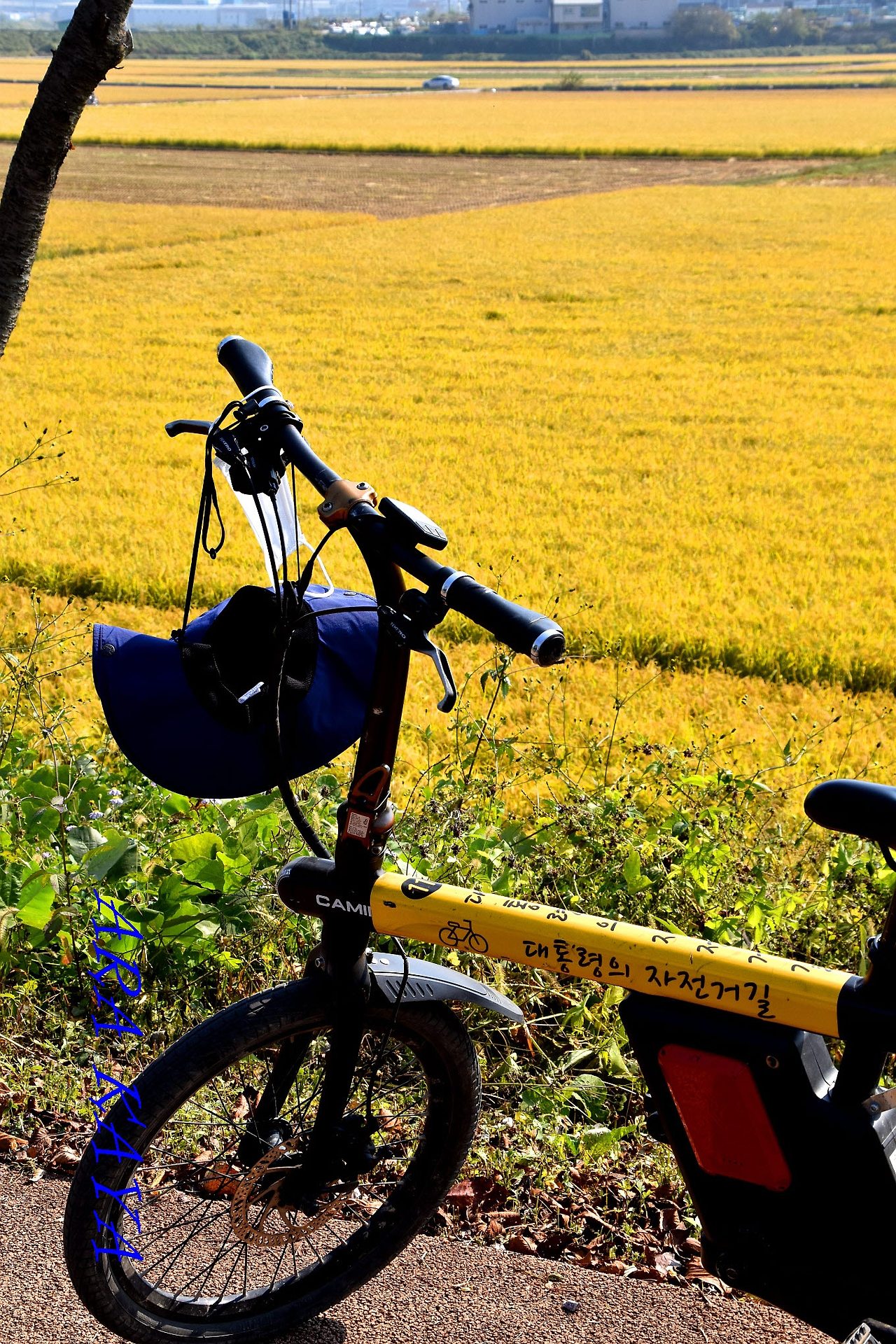 봉하마을 자전거 대여