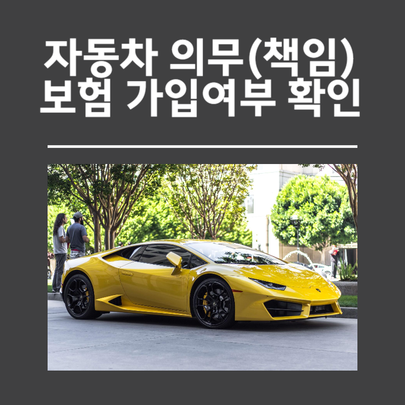 아로스 팝업