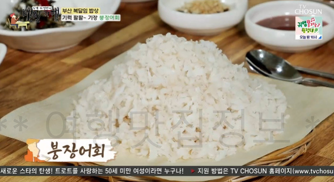 백반기행 기장 붕장어회, 부산 복달임 밥상 기력 팔팔 노포 2대 식당 어디? 1 ywAAAAAAQABAAACAUwAOw==