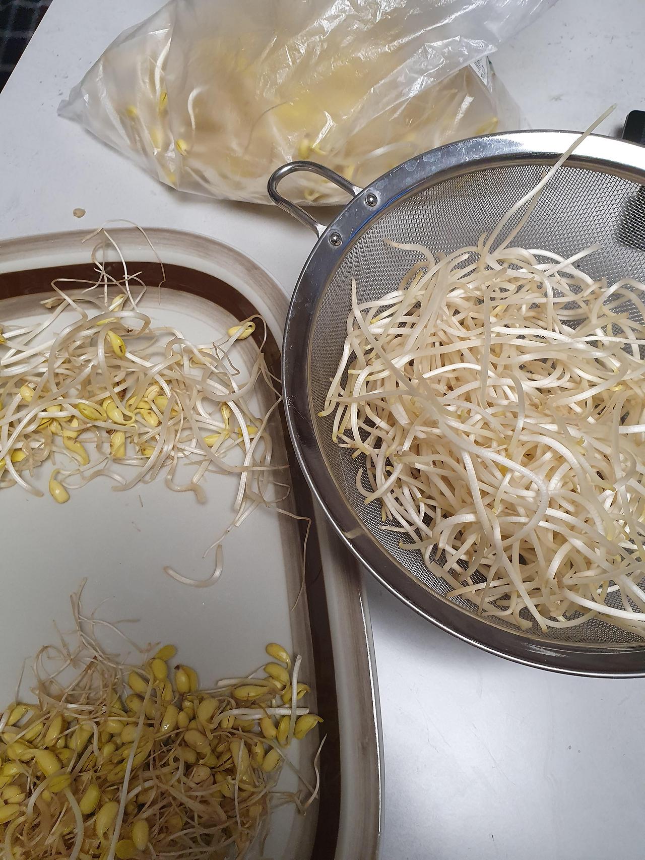 맛있는 경상도식 소고기뭇국 황금레시피 1 ywAAAAAAQABAAACAUwAOw==