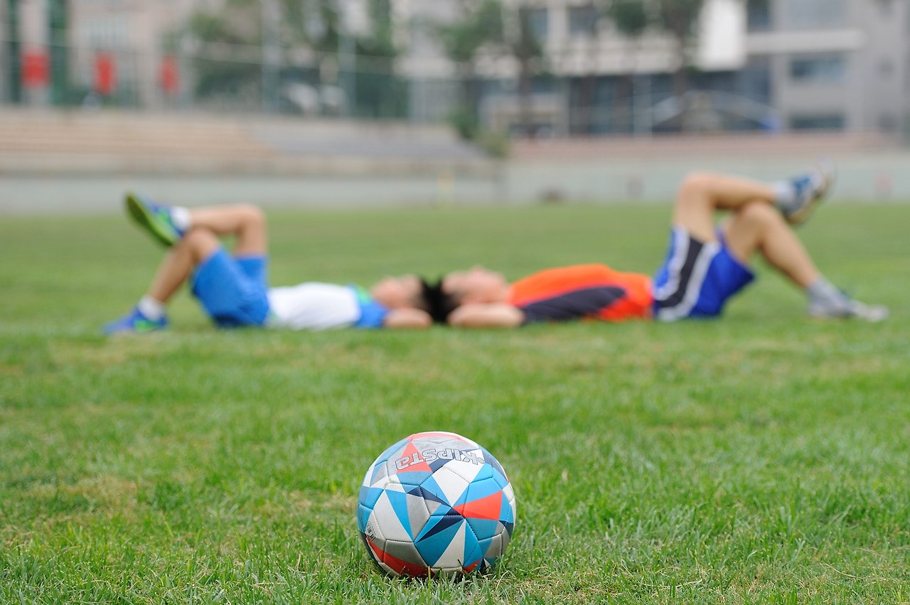 축구공종류가 이렇게 많았나?