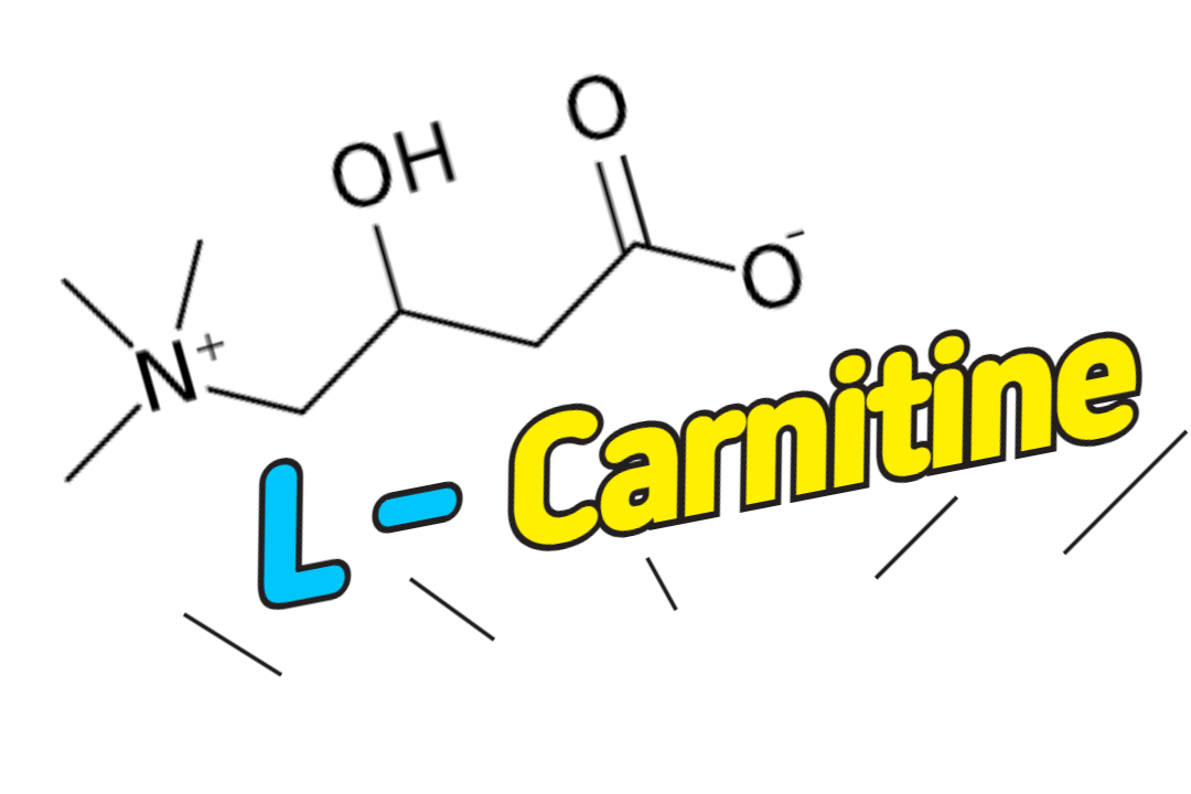 뇌 기능 향상부터 피로 회복까지, L-카르니틴의 다재다능한 효과 1 L-Carnitine
