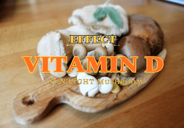 약사도 꼭 챙겨 먹는다는 필수 영양제: 비타민 D 1 VITAMIN D