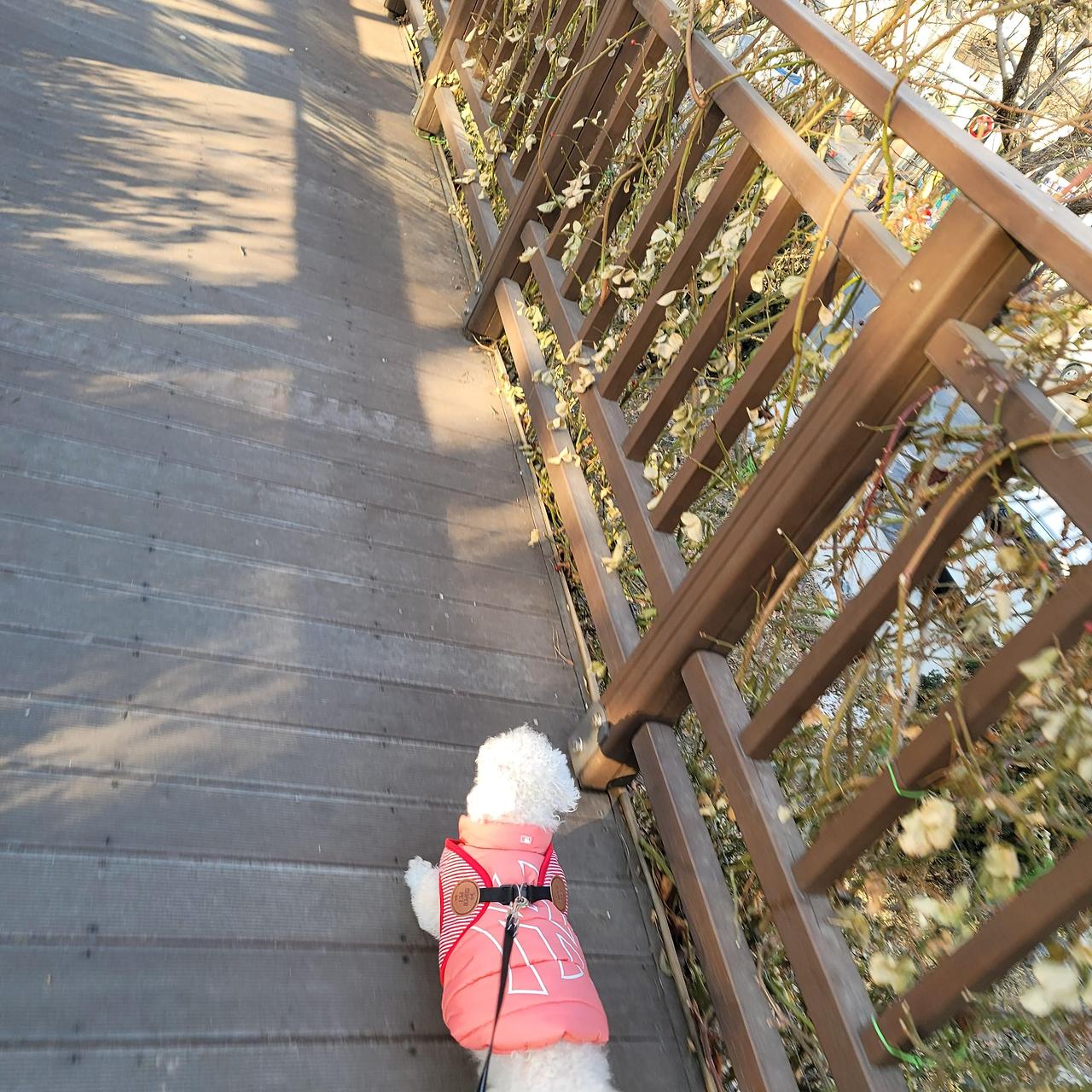 ?scode=mtistory2&fname=https%3A%2F%2Fblo