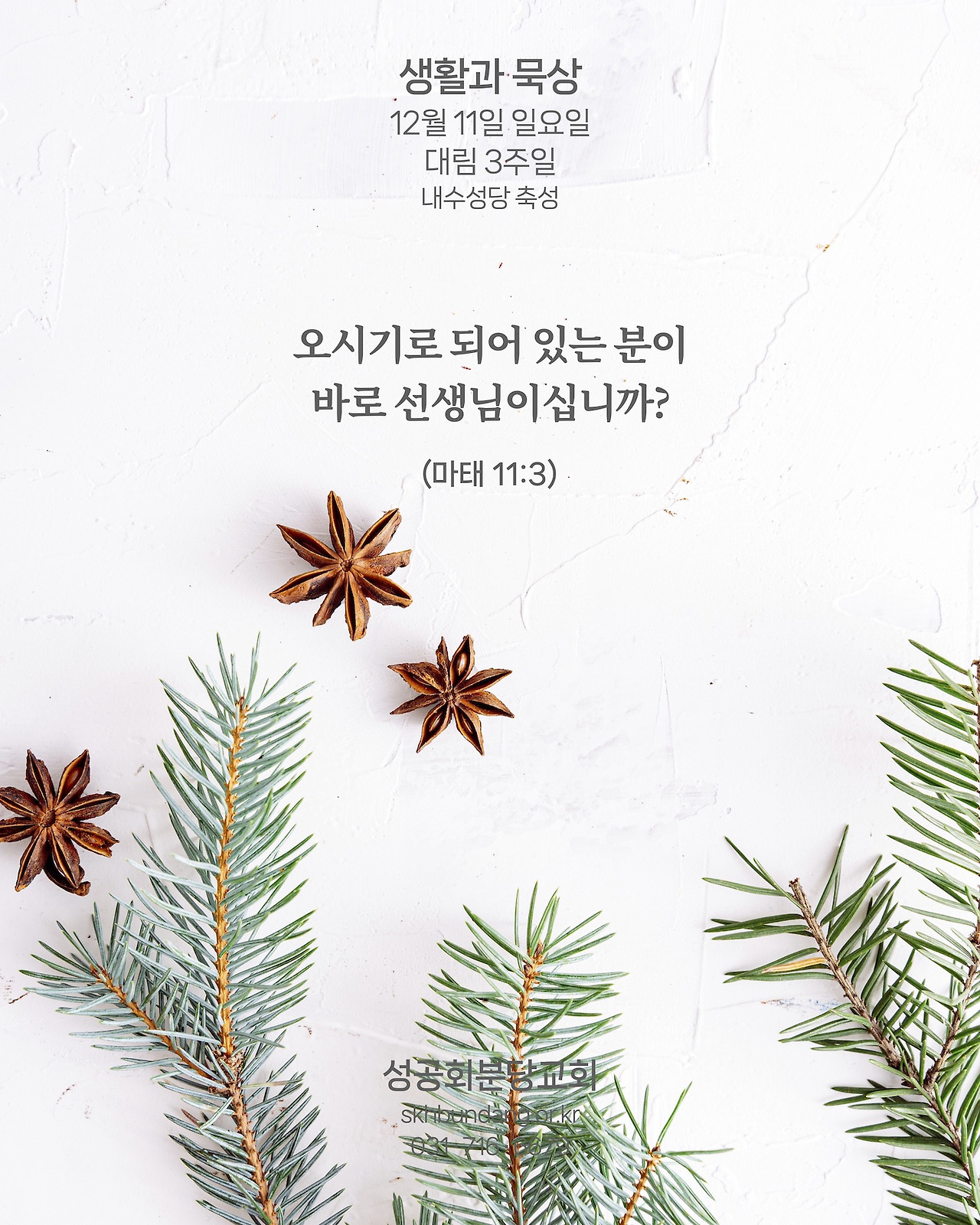 당신이십니까?