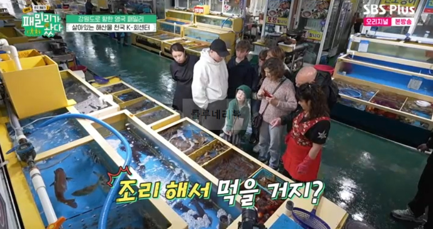 패밀리가 왔다 해산물 풀코스 횟집 어디? 호기심 천국 영국 패밀리 구이부터 회까지 산오징어회 비단멍게 꽃새우 광어회 2 ywAAAAAAQABAAACAUwAOw==