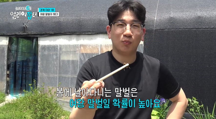 옛날이랑 다른 요즘 매출 4억 나온다는 농업.jpg | 인스티즈