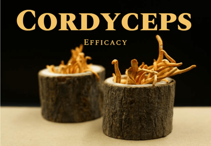동충하초, 내 몸을 깨우는 자연의 선물 1 Cordyceps