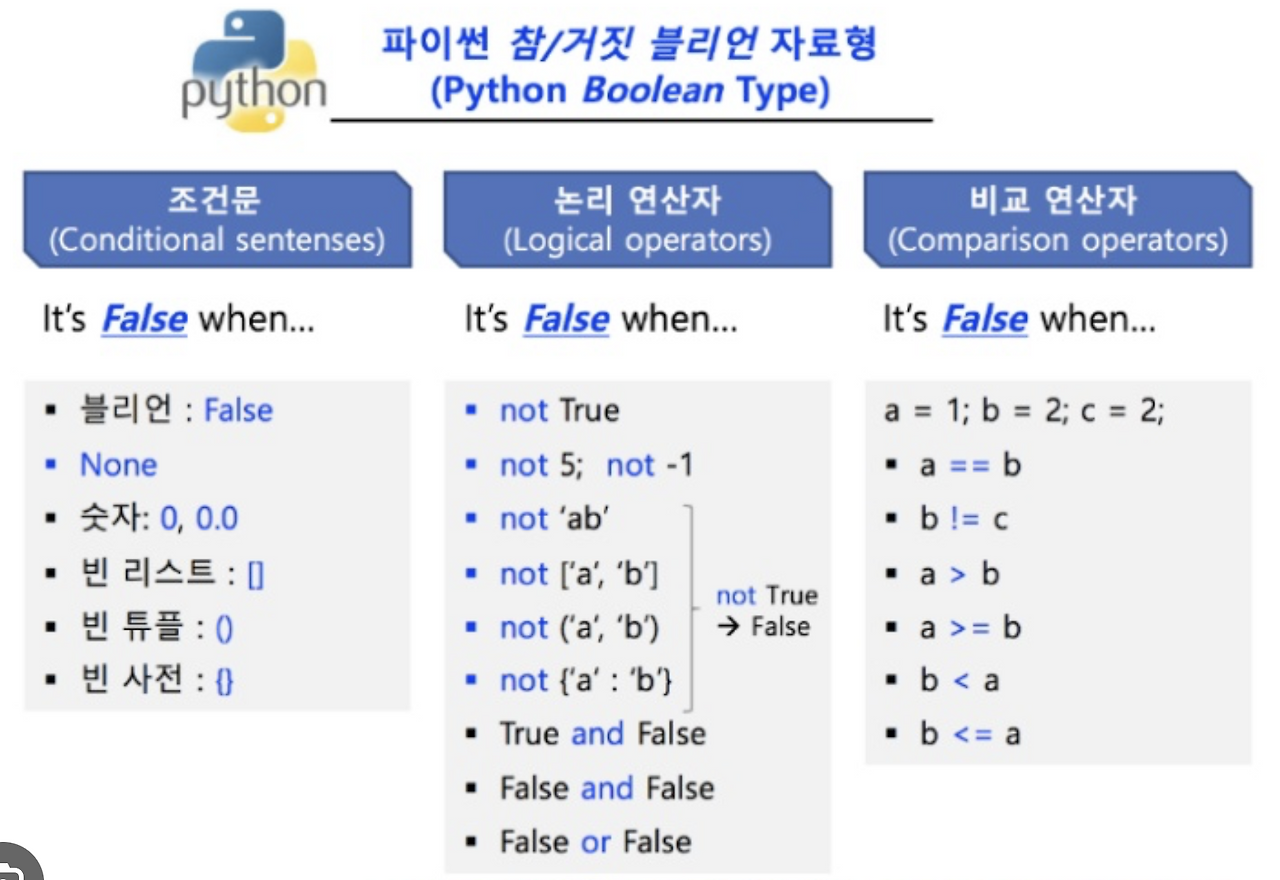 참과 거짓 (True or False)