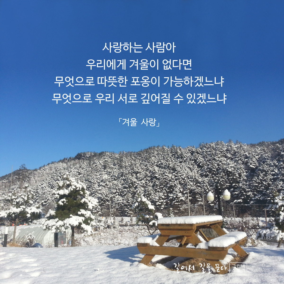 겨울 시 모음 이해인 시 겨울편지, 짧은시