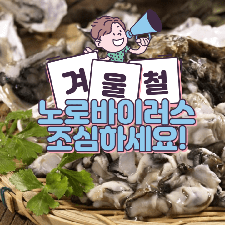 겨울 철 별미 굴 좋아한다면? 노로바이러스 감염 조심하세요! 1 ywAAAAAAQABAAACAUwAOw==