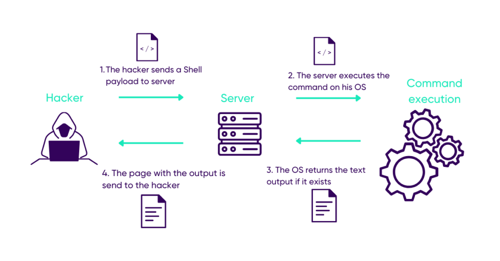 OS Command Injection