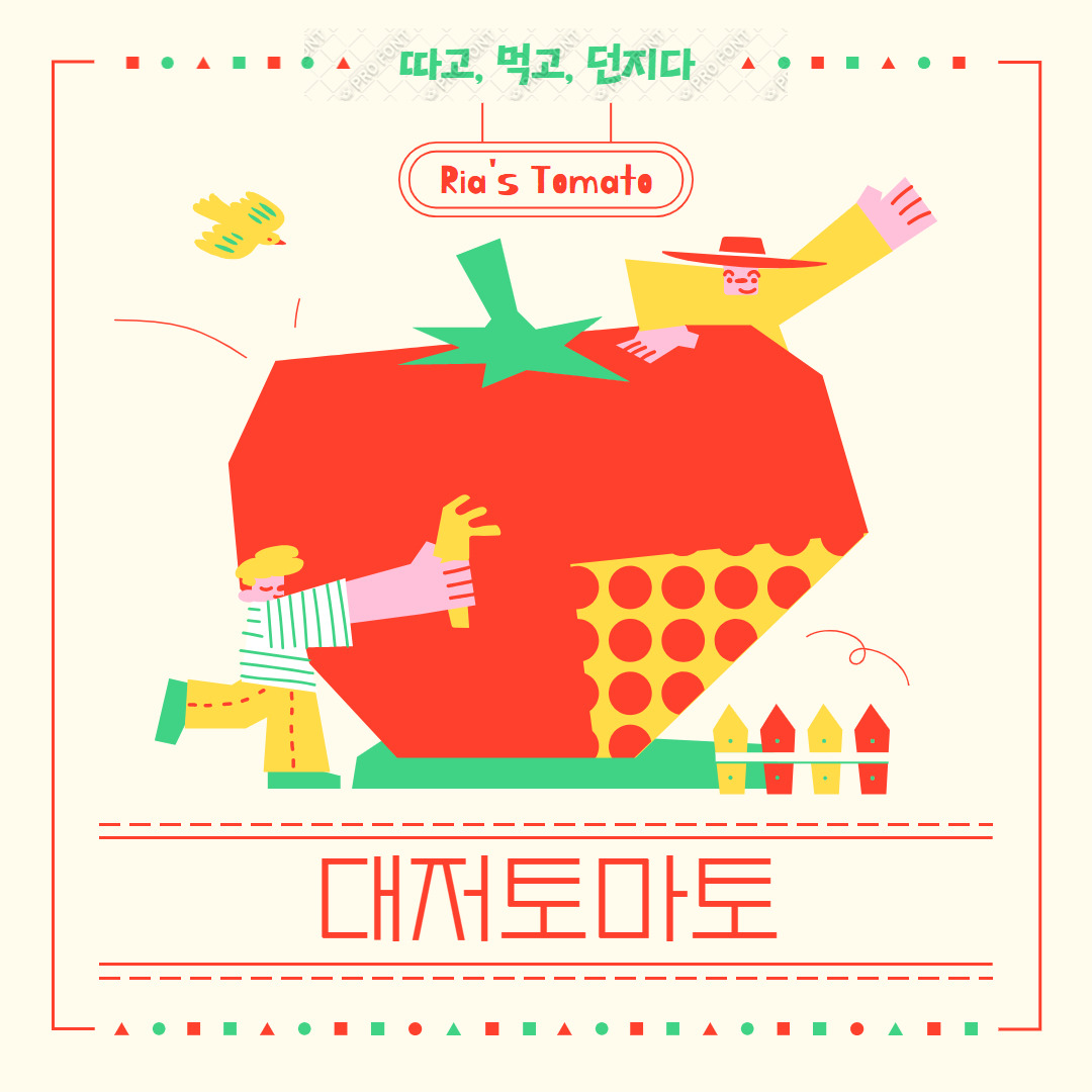 아로스 팝업