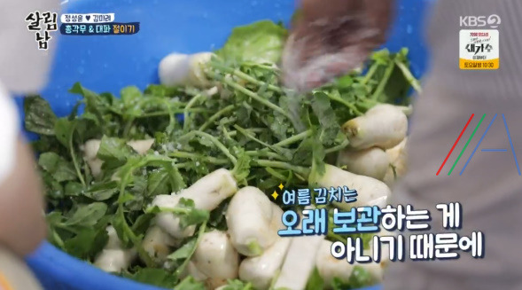 살림남 마약 김치 양념장, 총각무 김치 & 대파 김치 담그기 만들기 만드는 법 레시피, 정성윤 임성근 김장 김치 담그는법 만들기 레시피 - 2시간 김장김치 + 비법 양념장 7 ywAAAAAAQABAAACAUwAOw==