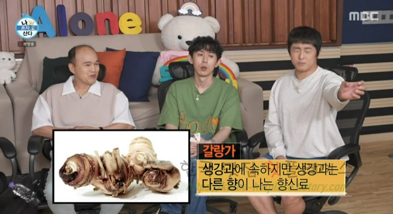나혼자산다 랭쎕 만드는 방법 만들기 레시피 - 전현무 태국식 돼지등뼈찜 9 ywAAAAAAQABAAACAUwAOw==