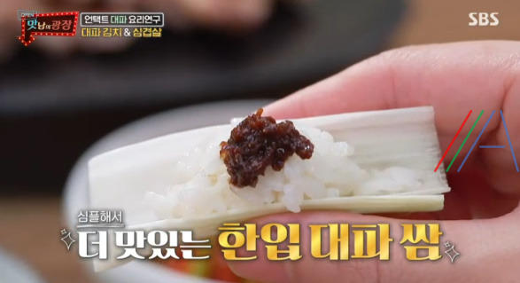 맛남의광장 백종원 대파 김치 & 삼겹살 맛있게 먹는 방법 2 ywAAAAAAQABAAACAUwAOw==