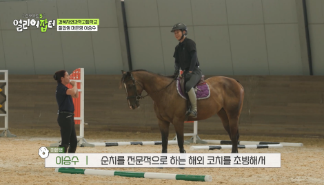 근대 5종 국가대표 전웅태 선수 코치였다는 승마계 오은영 | 인스티즈