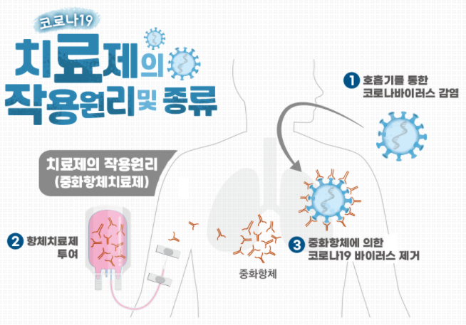 75세이상 코로나 예방접종 신청(화이자 백신) :: 유용한 경제 꿀팁