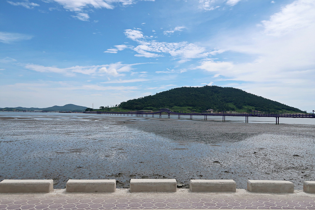 비금도 자전거 대여