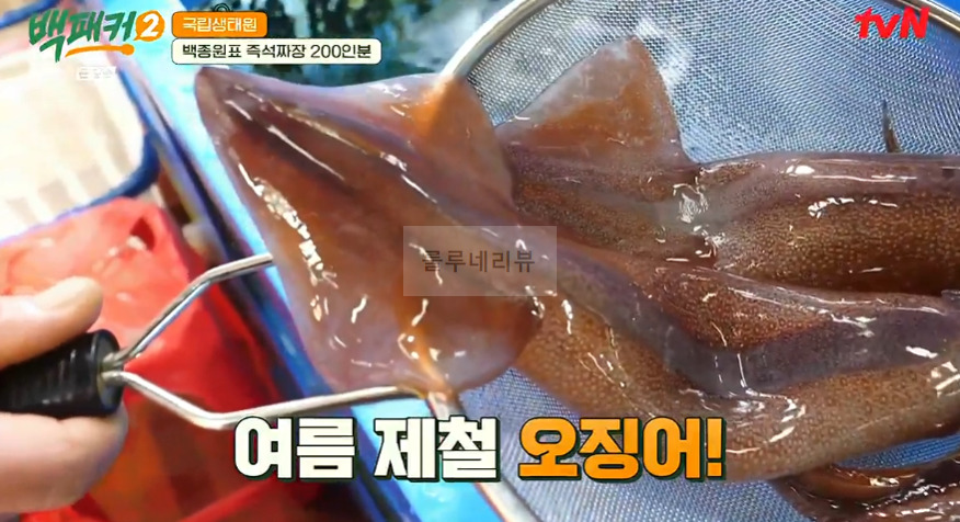 백패커2 삼선고추짜장밥 레시피, 백종원표 즉석짜장 200인분 만들기 15 ywAAAAAAQABAAACAUwAOw==