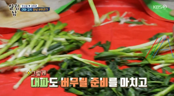 살림남 마약 김치 양념장, 총각무 김치 & 대파 김치 담그기 만들기 만드는 법 레시피, 정성윤 임성근 김장 김치 담그는법 만들기 레시피 - 2시간 김장김치 + 비법 양념장 21 ywAAAAAAQABAAACAUwAOw==