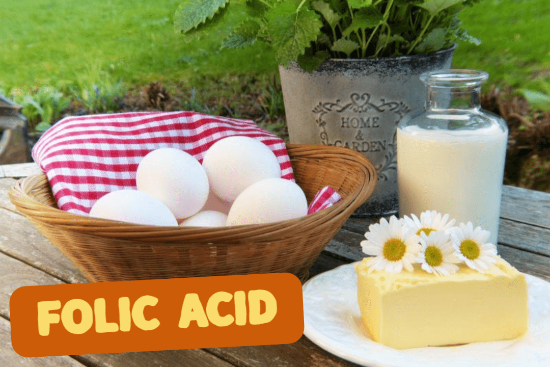 엽산의 중요성: 세포 성장에서 면역력까지 1 FOLIC ACID