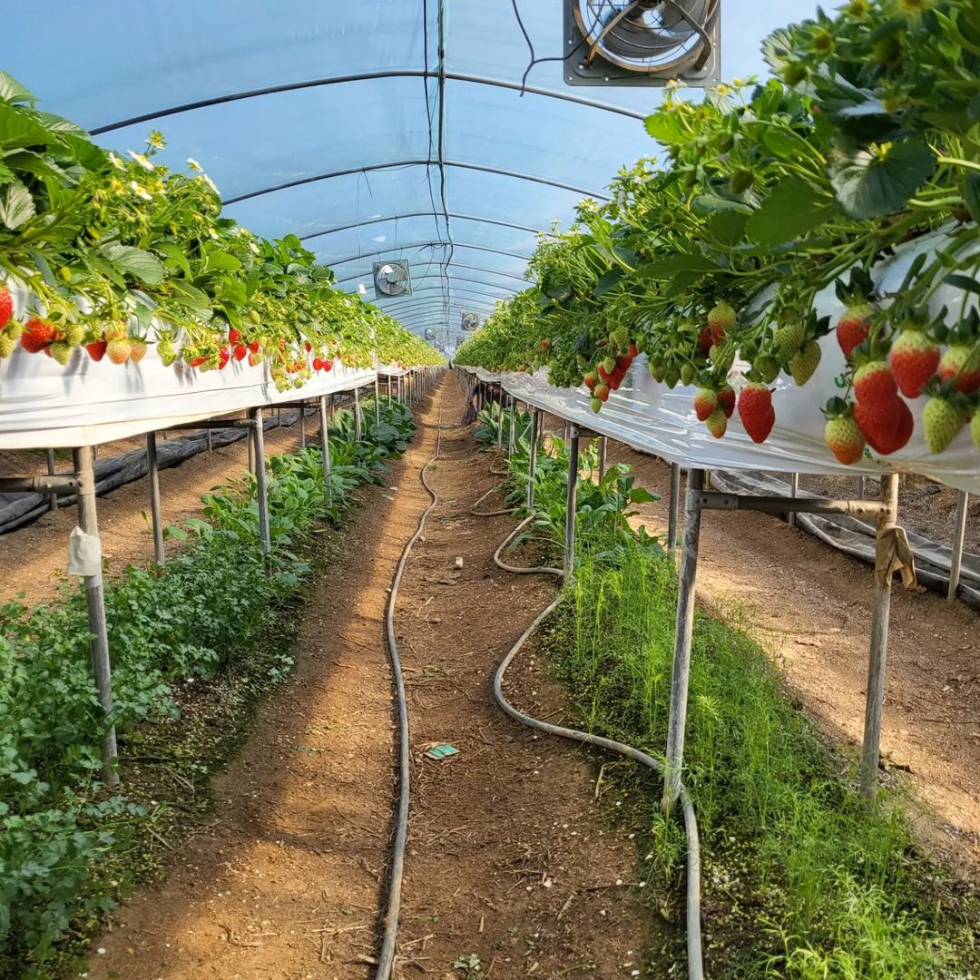 ?scode=mtistory2&fname=https%3A%2F%2Fblo