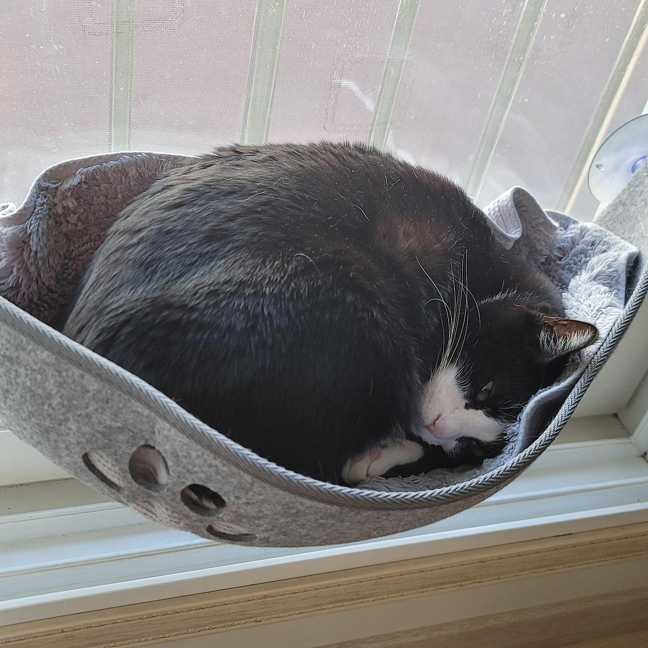 ?scode=mtistory2&fname=https%3A%2F%2Fblo