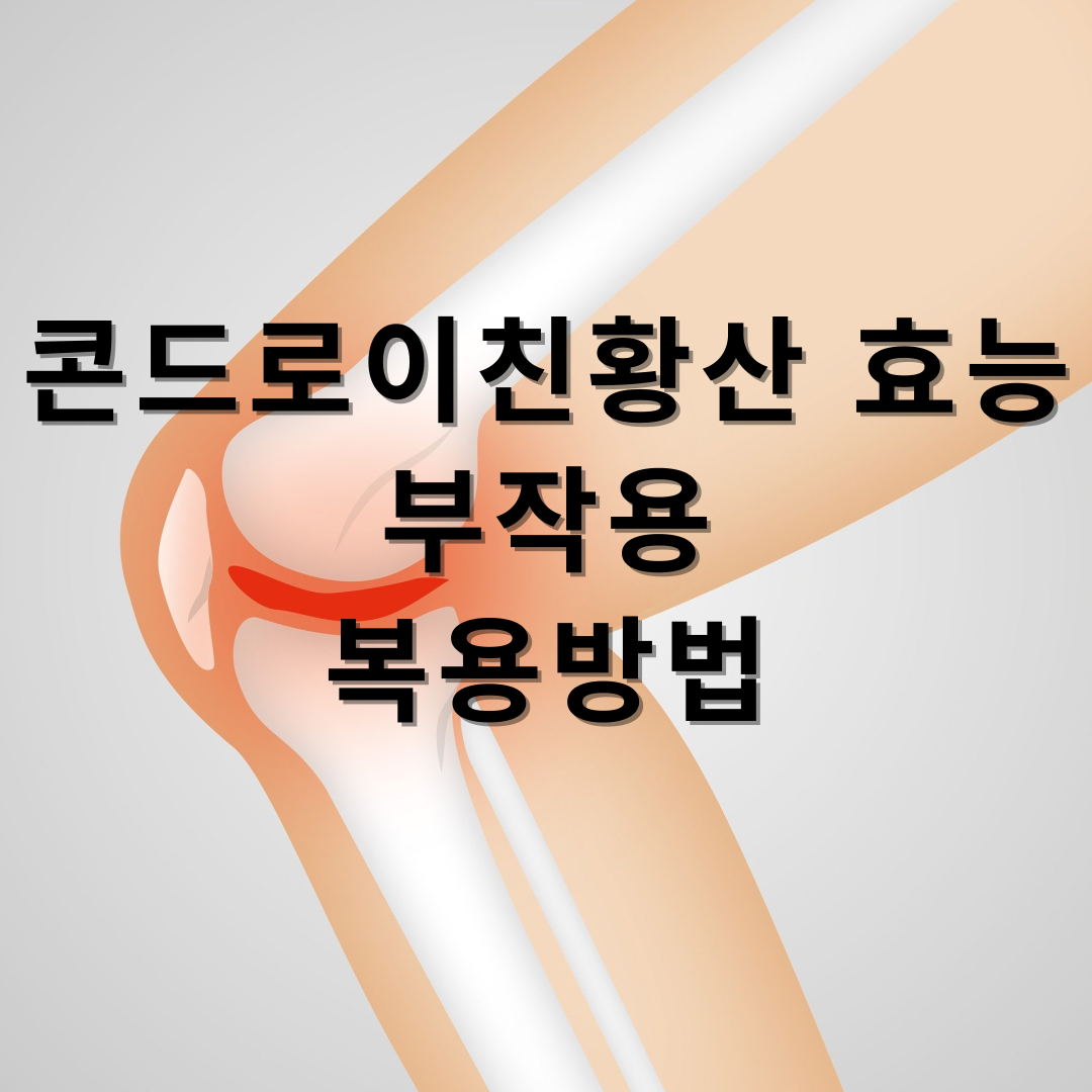 콘드로이친 황산(Chondroitin Sulfate) 효능 및 부작용, 복용 방법