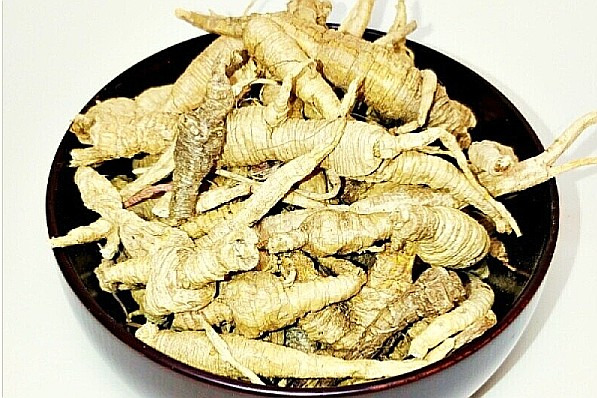 사삼의 효능