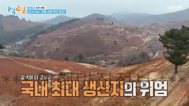 KBS 1박2일 남해 별해로, 마지막 미션 우정 사진 찍고 퇴근 촬영지 장소 위치 어디? 경남 남해 청춘 여행 3 ywAAAAAAQABAAACAUwAOw==