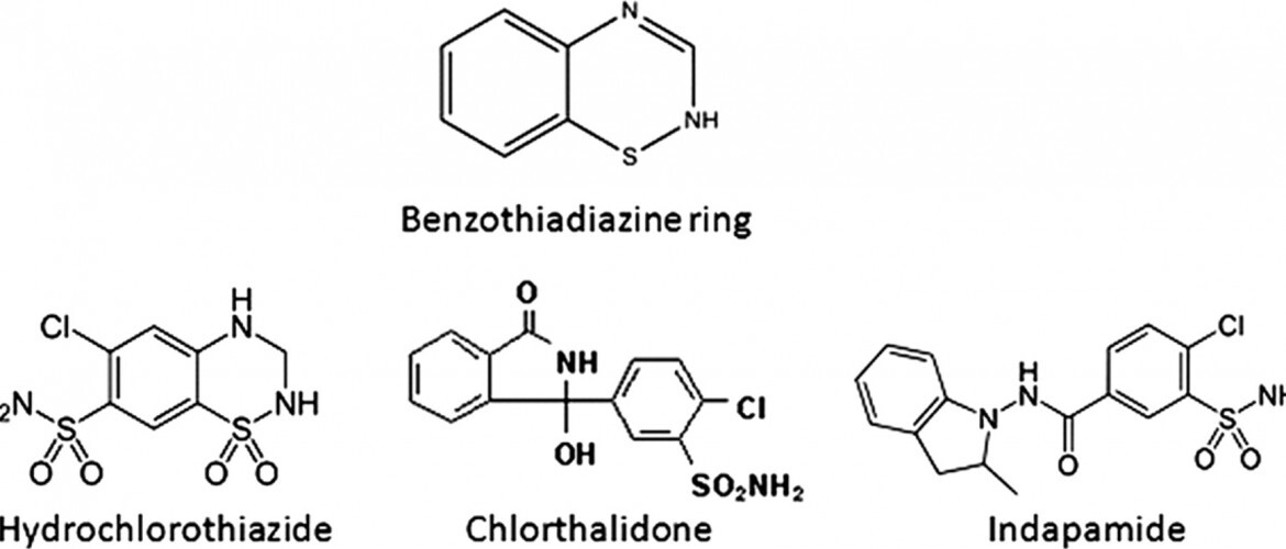 Thiazide 이뇨제: Chlorothiazide, Hydrochlorothiazide, Chlorthalidone ...