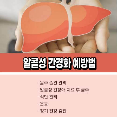 알콜성 간질환 간경화 증상 치료법 좋은 음식 7가지 0622