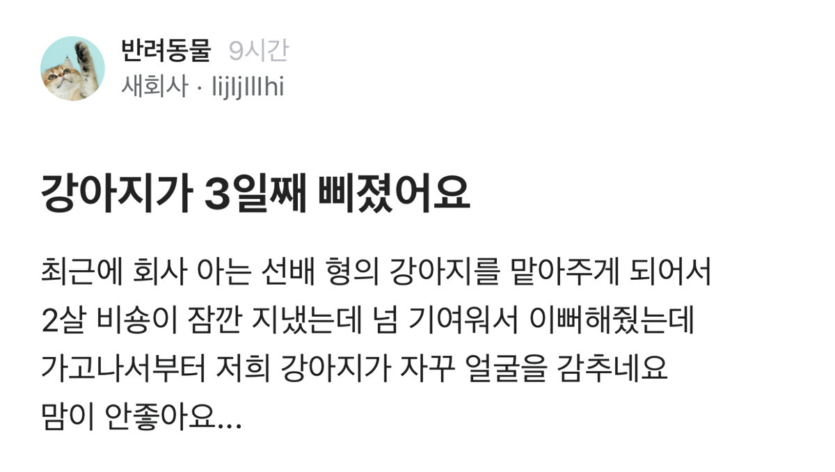 강아지가 3일째 삐졌어요