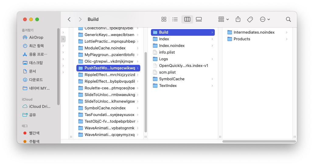 [iOS] Xcode에서 Clean Build Folder 실행 시