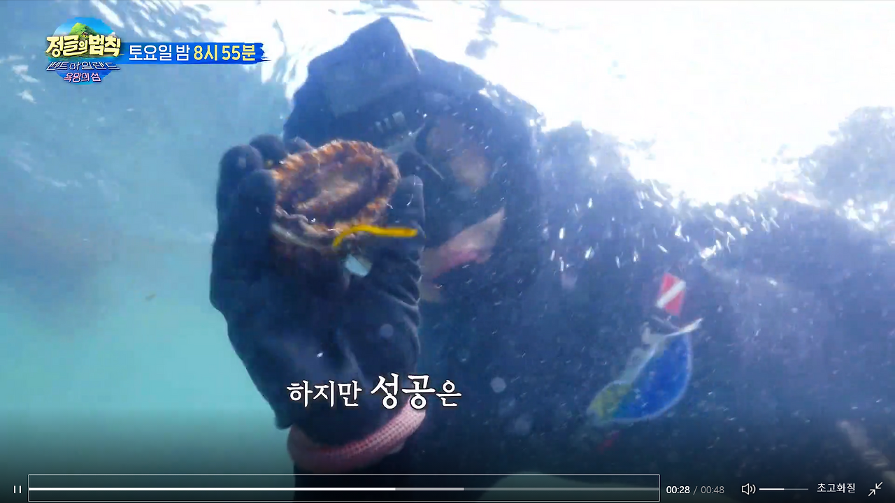 정글의 법칙 In 펜트 아일랜드 욕망의 섬 재방송 다시보기 · 시청률 · 회차정보 · 방송시간 · 공식영상 · 출연진