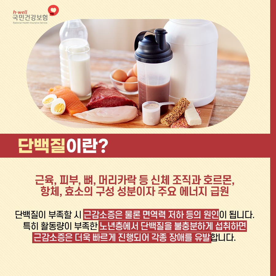 단백질이란?
근육, 피부, 뼈, 머리카락 등 신체 조직과 호르몬, 항체 효소의 구성 성분이자 주요 에너지 급원
단백질이 부족할 시 근감소증은 물론 면역력 저하 등의 원인이 됩니다.
특히 활동량이 부족한 노년층에서 단백질을 불충분하게 섭취하면 근감소증은 더욱 빠르게 진행되어 각종 장애를 유발합니다.