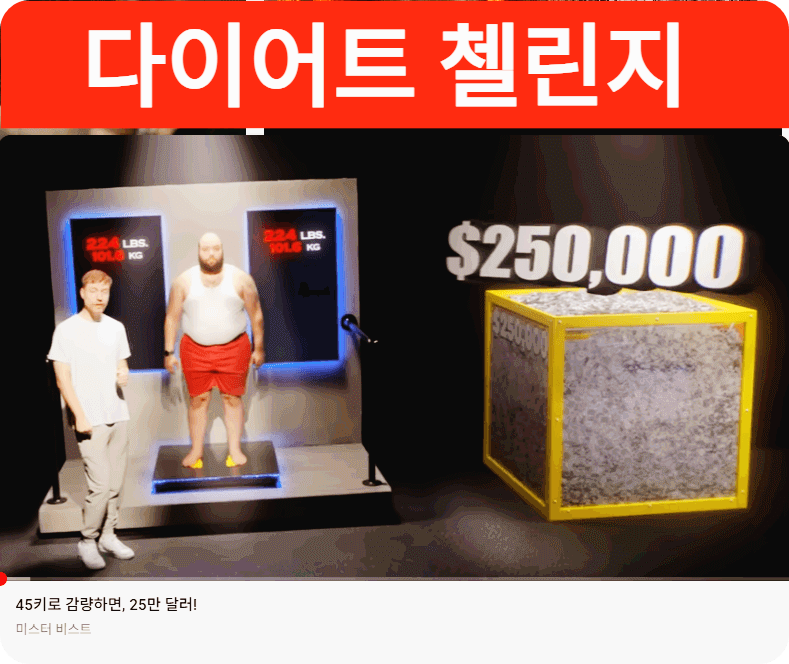 미스터비스트의 다아어트 첼린지 주인공