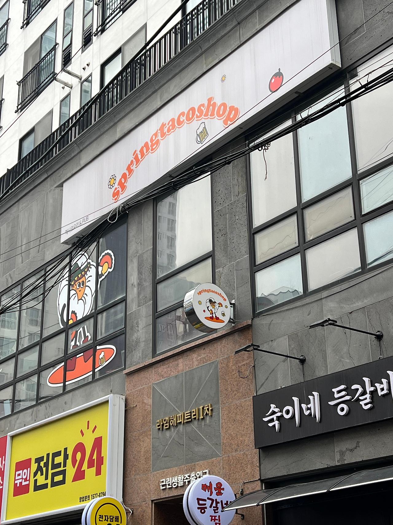 대전 스프링타코샵 재방문 후기 (롯백 뒤, 주차 X)