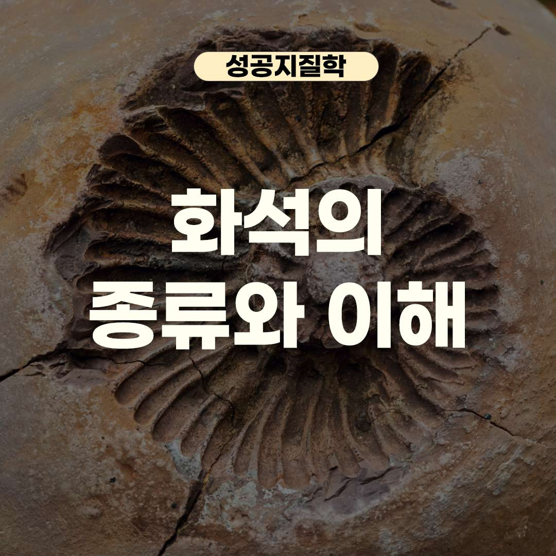 화석 기록과 미생물 서식환경