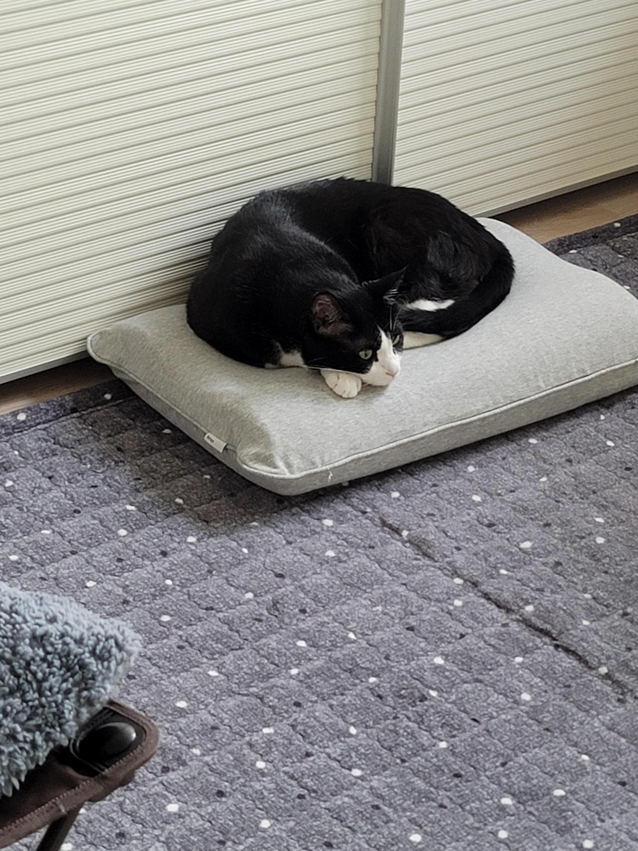 ?scode=mtistory2&fname=https%3A%2F%2Fblo